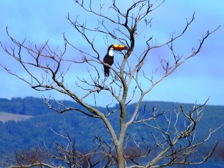 Bairro dos Quartéis